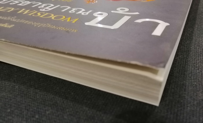 ปรีชาญาณบ้า (Crazy Wisdom)