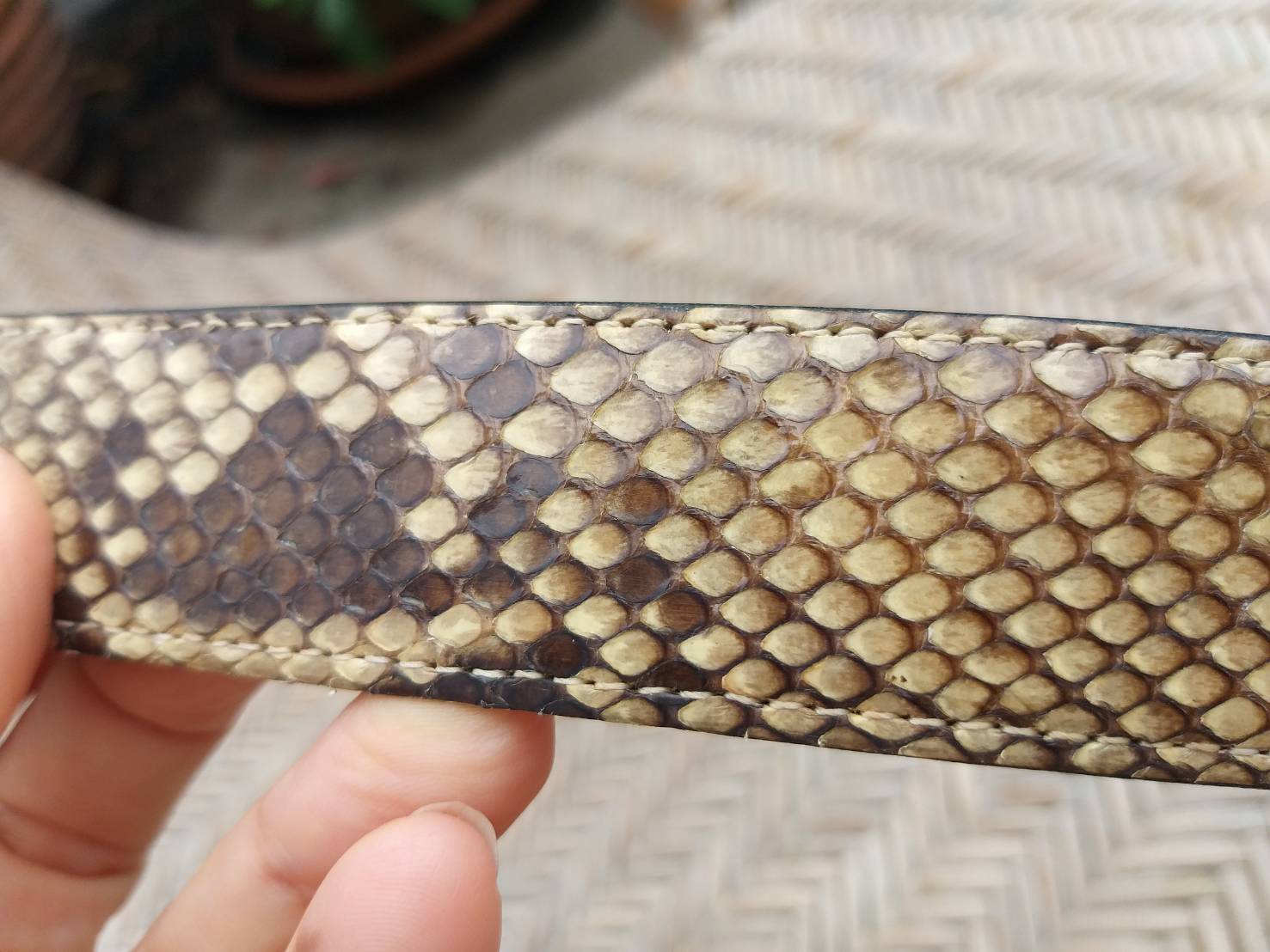 เข็มขัดชาย หนังงูแท้