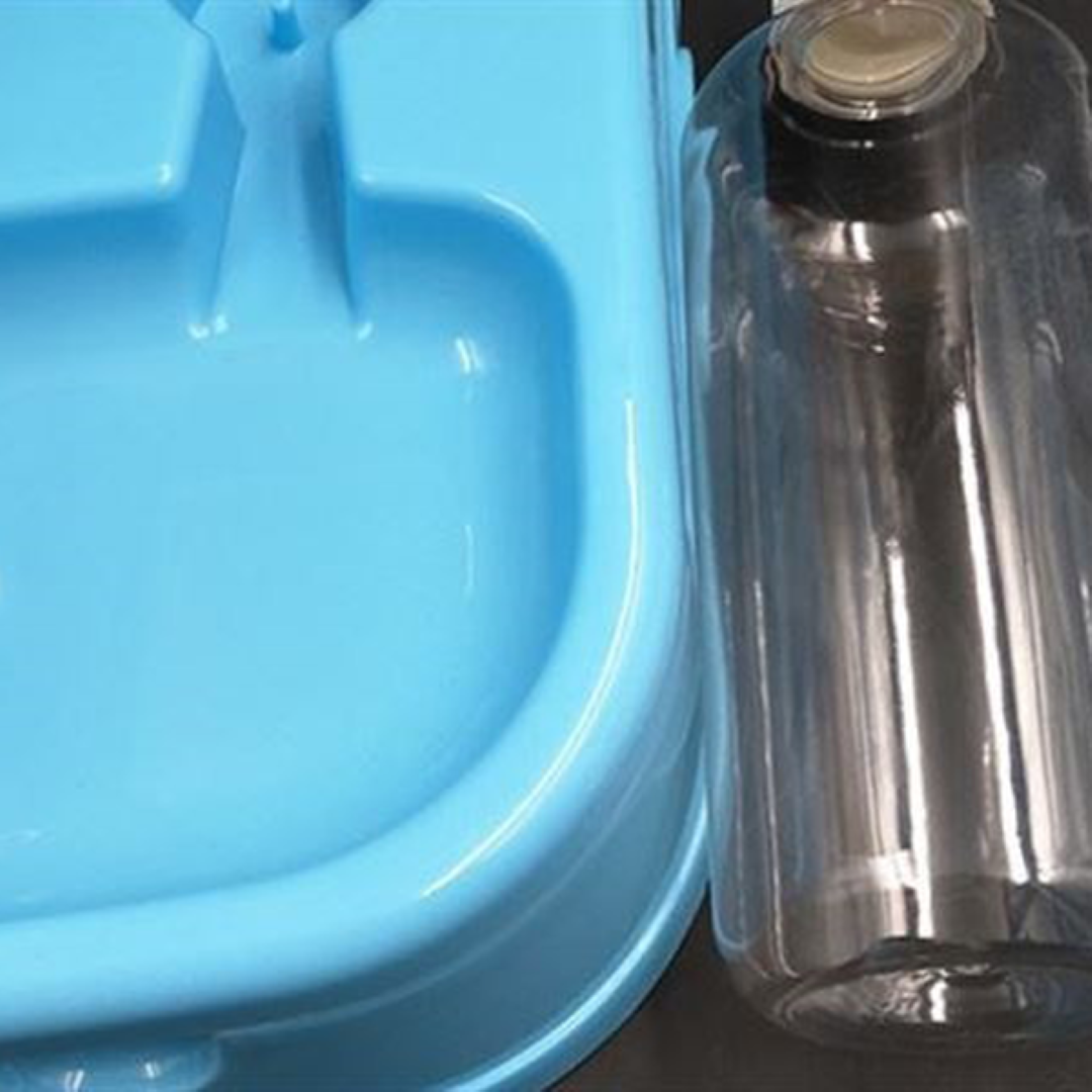 เครื่องให้อาหารและน้ำสัตว์เลี้ยง สำหรับสุนัขและแมว อัตโนมัติ Petsuka สีฟ้า