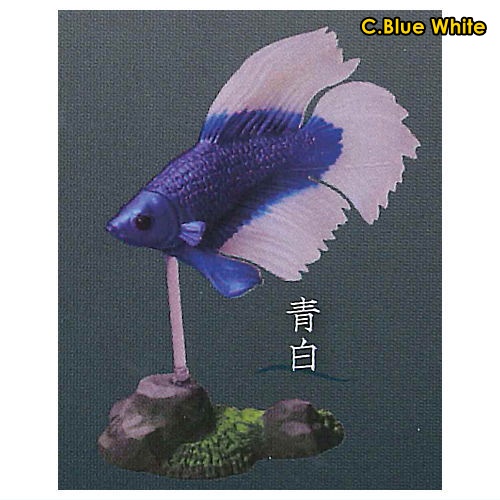 กาชาปองฟิกเกอร์ปลากัด Fighting Fish ~Betta~ 2