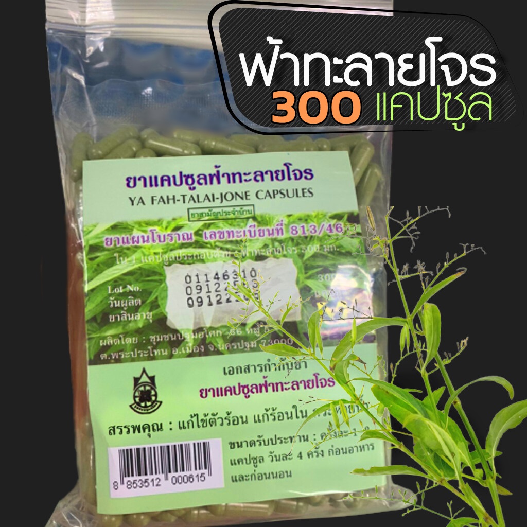 ฟ้าทะลายโจร (ปฐมอโศก) 300 แคปซูล ► เสริมภูมิต้านทาน งานวิจัยชี้ชัด ป้องกัน โควิด 19 ได้จริง หลายภาคส่วนยอมรับตรงกันว่า ทานเพื่อรักษาและป้องกันโควิดได้ แก้ตัวร้อน แก้ไอ เจ็บคอ ป้องกันการเจาะเข้าเซลล์ของไวรัส ต้านการอักเสบ
