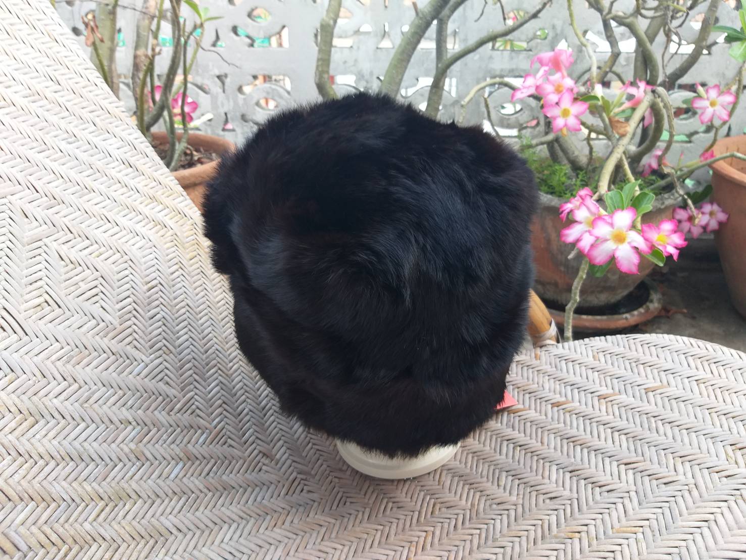 หมวกเอสกิโม Fur Fox จากรัสเซีย (ใหม่ป้ายห้อย)