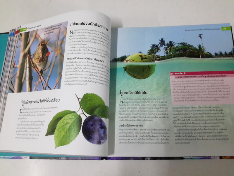 1001 คำถาม วิทยาศาสตร์ฉลาดตอบ (ปกแข็ง) (1001 Science Questions Answered)