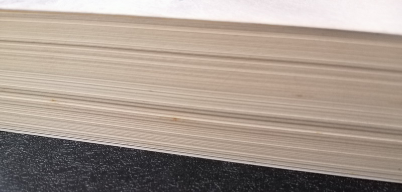 เกมอันตราย สายลับไร้ชื่อ (เล่ม 2) (I Am Pilgrim) (มีตำหนิ โปรดอ่านรายละเอียด)