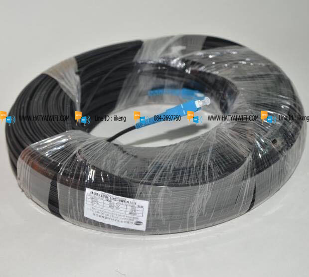 สาย Fiber Optic 1Core พร้อมเข้า SC หัวท้าย ยาว 300 เมตร