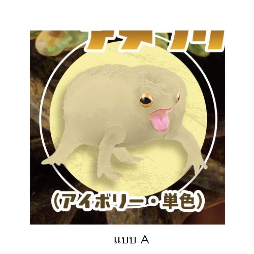 กาชาปองฟิกเกอร์กบ สเกล 1/1 Common Rain Frog & Waxy Monkey Tree Frog 2