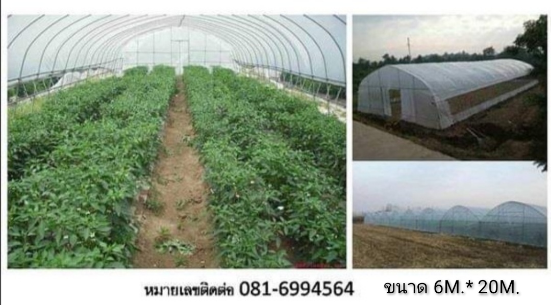 โรงเรือนสำเร็จรูป 6*20เมตร