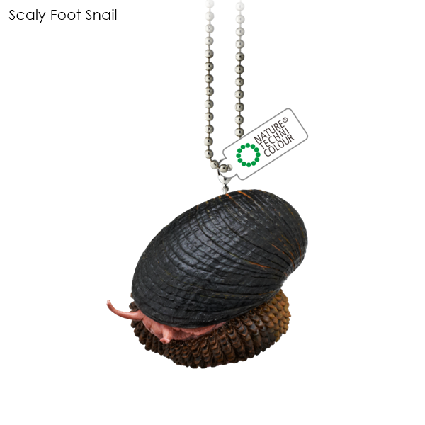 กาชาปอง NTC Deep Sea Creatures Magnet & Ball Chain 2