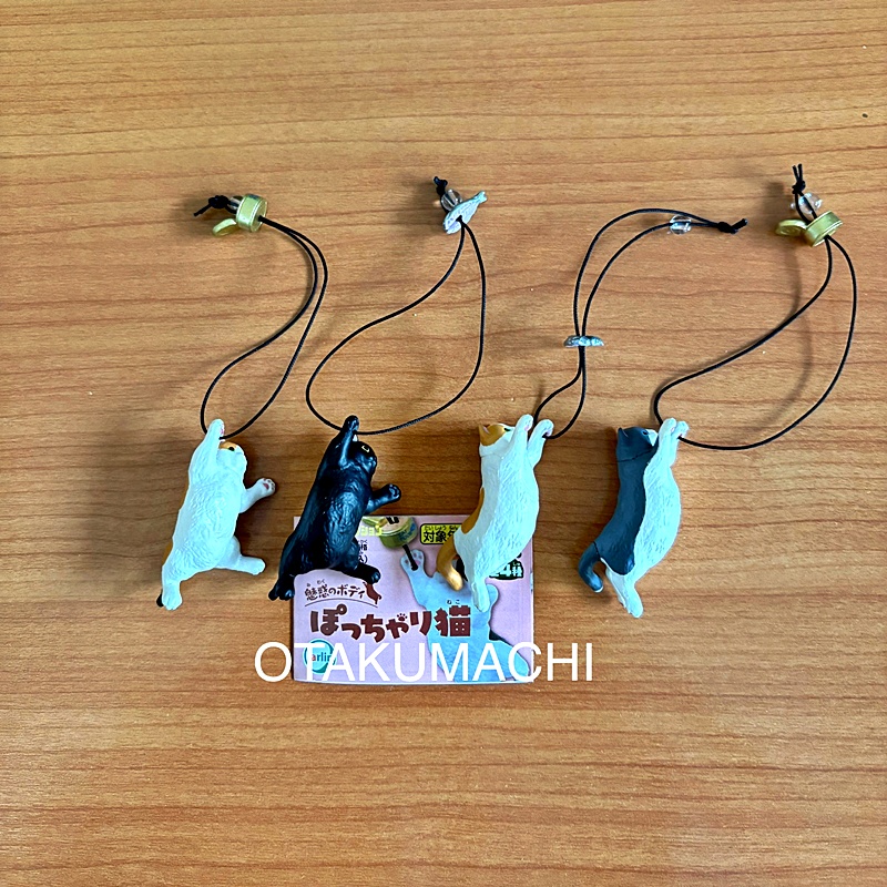 กาชาปองมาสคอทน้องแมว Fascinating Body Chubby Cat