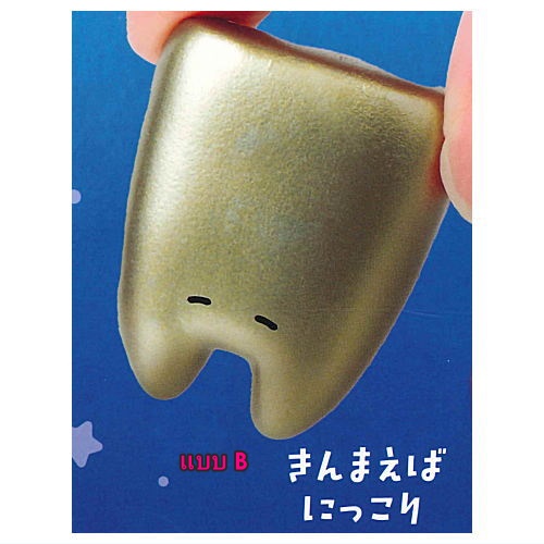 กาชาปองโมเดลฟัน Good Evening Teeth