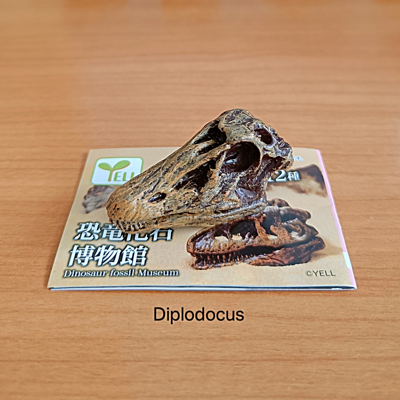 กาชาปองโมเดลซากฟอสซิล Dinosaur Fossil Museum