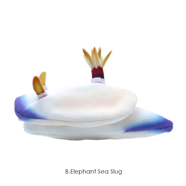 กาชาปองตุ๊กตาทากทะเล Sea Slug Plush Toy 2