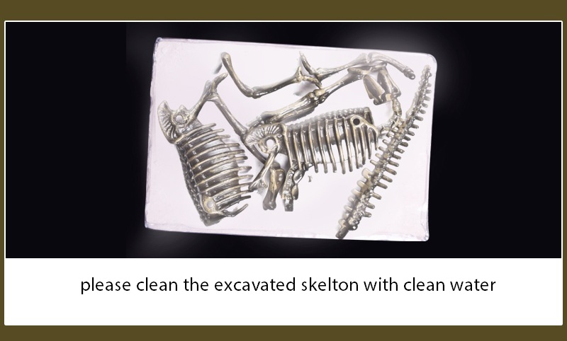ของเล่นวิทยาศาสตร์ ชุดขุดฟอสซิลไดโนเสาร์ ชิ้นส่วนตัวต่อ 3D Skeleton Excuvation Kits