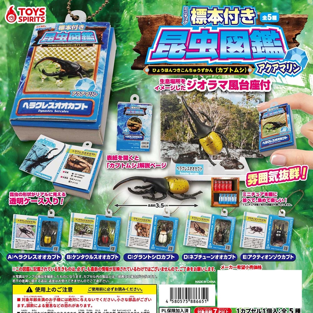 กาชาปองสารานุกรมแมลงเล่มจิ๋ว [ปกฟ้า] Insect Encyclopedia with Miniature Specimens, Rhinoceros Beetle