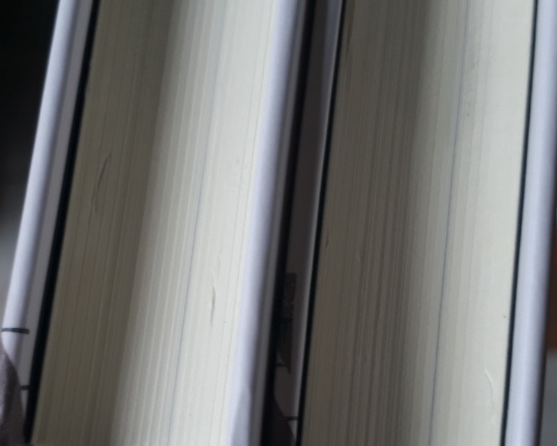 ไซโค (Psycho) (ปกแข็ง)