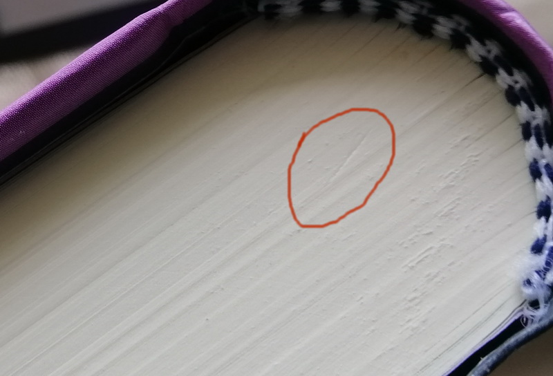 ปราสาท (ปกแข็ง) (มีตำหนิ โปรดอ่านรายละเอียดก่อนสั่งทุกครั้ง) (The Castle) (Franz Kafka)