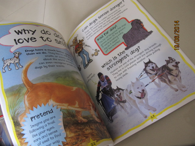 Miles Kelly : First Questions And Answers - Why do puppies chew? หนังสือคำถามแรกและคำตอบ - ทำไมลูกสุนัขชอบกัด