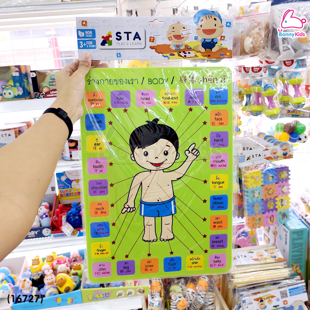 (16727) ASTA (แอสต้า) ชุดคำศัพท์ร่างกาย บล็อกต่อคำศัพท์ ภาษาอังกฤษ ภาษาจีน ภาษาไทย 26 คำ (คละสี)