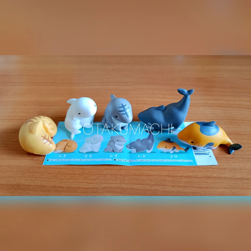 กาชาปองฟิกเกอร์ฉลามในท่าแมว Cat Shark