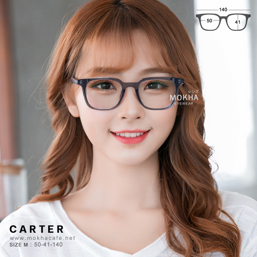 CARTER - clear grey กรอบแว่นตา ทรงเหลี่ยม แกนขาโลหะ กว้าง 140 มม. (sizeM) H41