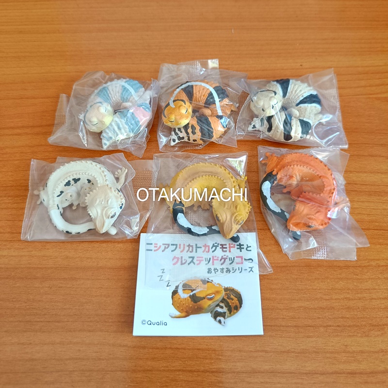 กาชาปองฟิกเกอร์ตุ๊กแก African Ground Gecko and Crested Gecko Sleep Series