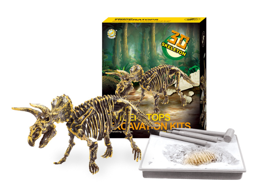 ของเล่นวิทยาศาสตร์ ชุดขุดฟอสซิลไดโนเสาร์ ชิ้นส่วนตัวต่อ 3D Skeleton Excuvation Kits