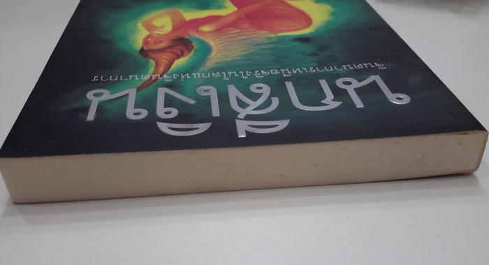 นกสีเงิน (The Silver Curlew)