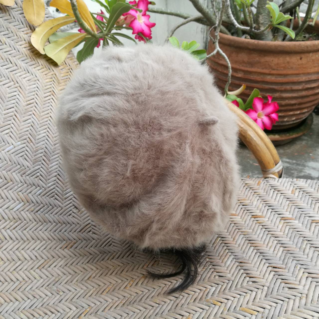 หมวกเบเร่ต์ขนกระต่ายแท้ สีสวยค่ะใบนี้ อุ่นสุดๆ