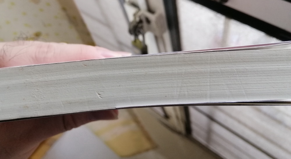 ฮวงจุ้ยบ้านดี ชีวิตนี้มีชัยไปกว่าครึ่ง (มีตำหนิ โปรดอ่านรายละเอียด)