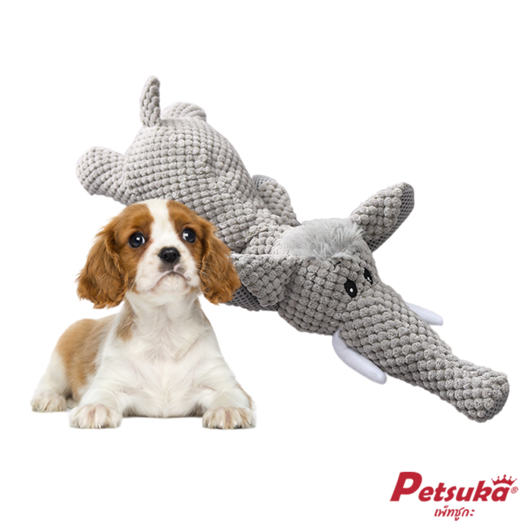 ตุ๊กตาช้างน้อยสีเทา Petsuka ของเล่นขัดฟันสัตว์เลี้ยง มีเสียง