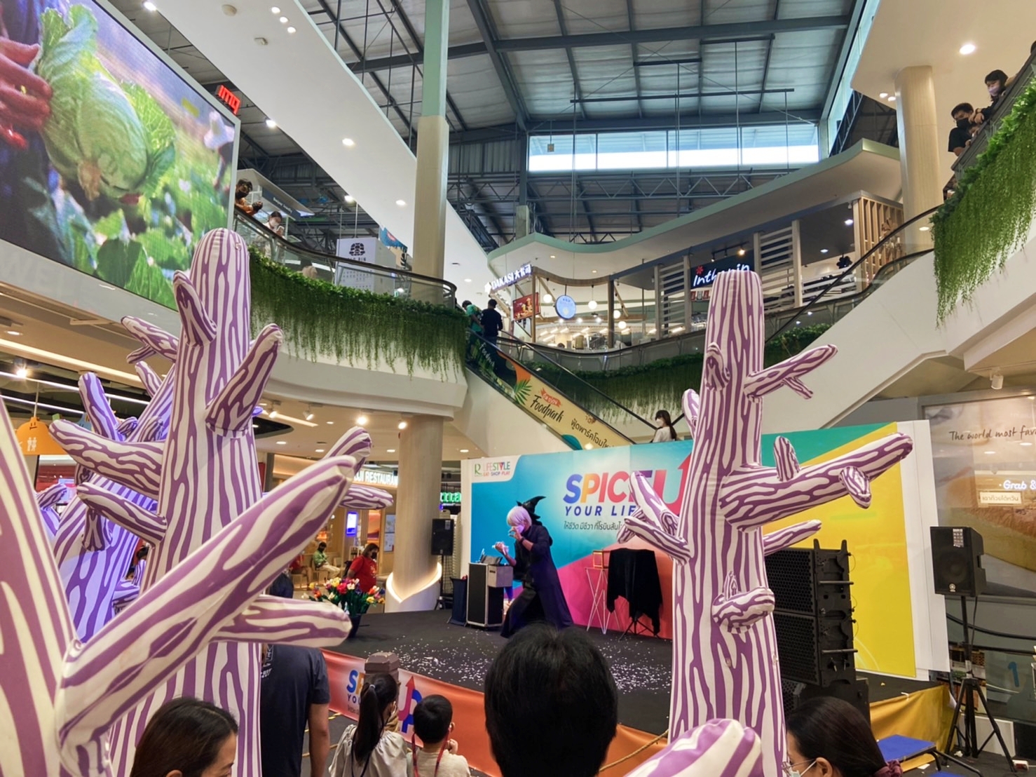 มายากล นักมายากล การแสดง โชว์ Magic Show 03/07/2565