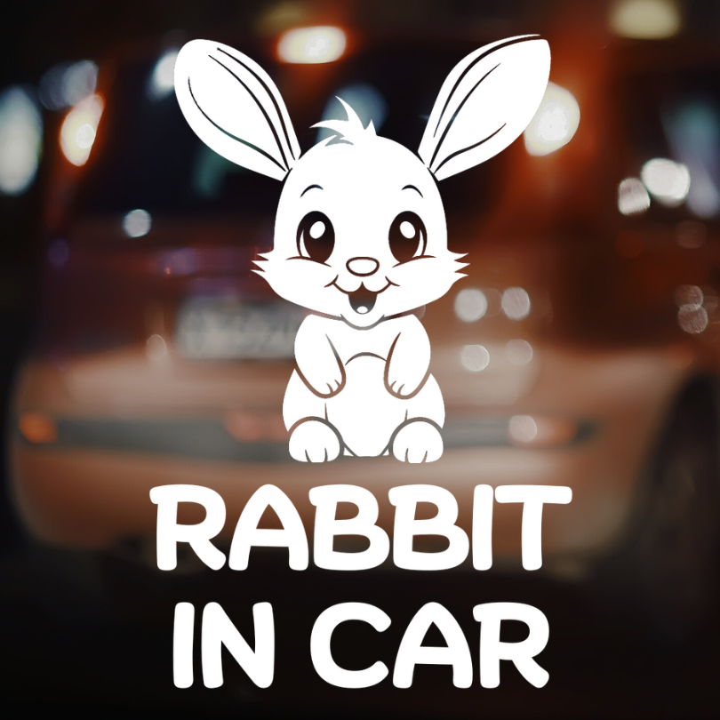 สติ๊กเกอร์ติดรถ RABBIT IN CAR ในรถมีกระต่าย นก ซูก้าไกลเดอร์