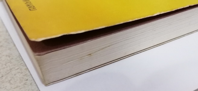 ผิวเหลืองหรือผิวขาว (มีตำหนิ โปรดอ่านรายละเอียด)