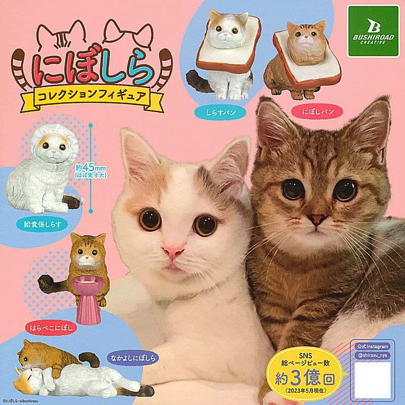 กาชาปองฟิกเกอร์น้องแมว Niboshira Collection Figure