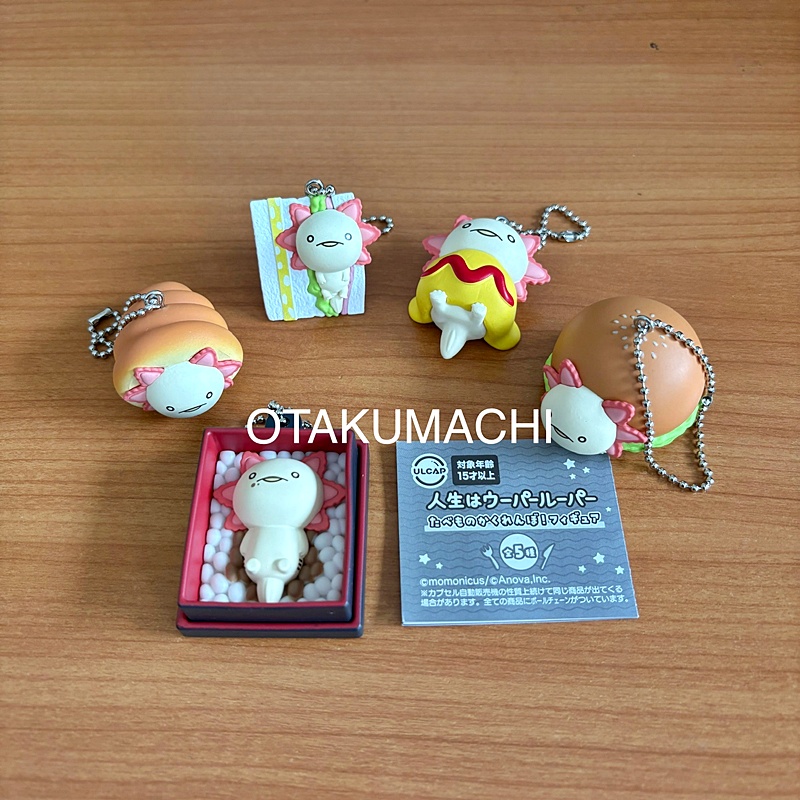 กาชาปองฟิกเกอร์แอกโซลอเติล Life is an Axolotl Food Hide and Seek! Figure