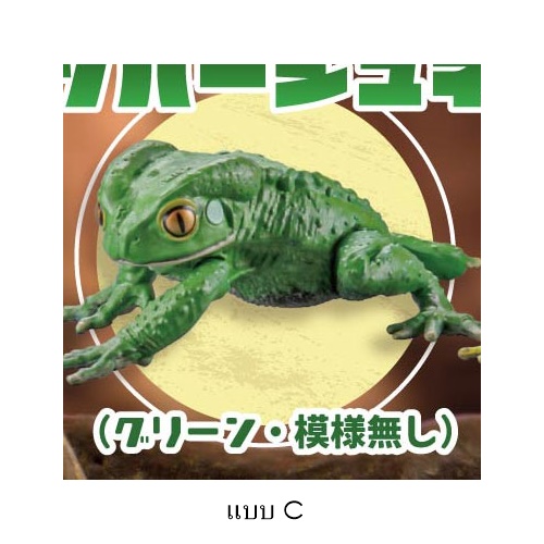 กาชาปองฟิกเกอร์กบ สเกล 1/1 Common Rain Frog & Waxy Monkey Tree Frog 2
