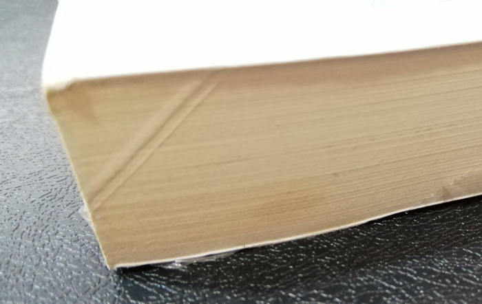 ภาพชีวิตที่เขียนด้วยน้ำตา