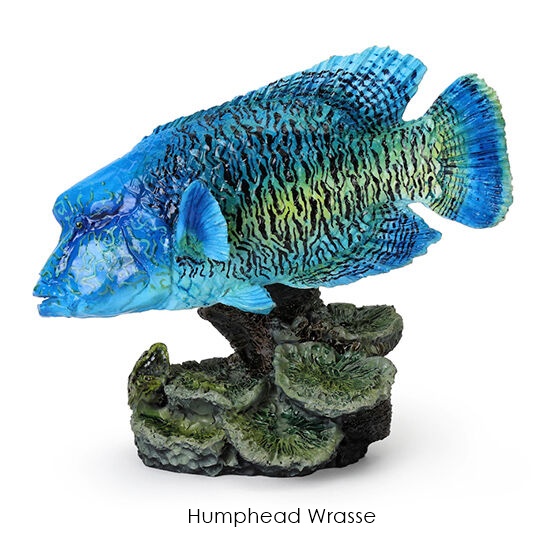 กาชาปองฟิกเกอร์สัตว์ทะเล Mini Collection of the Great Creature Encyclopedia: Coral Reef Creatures