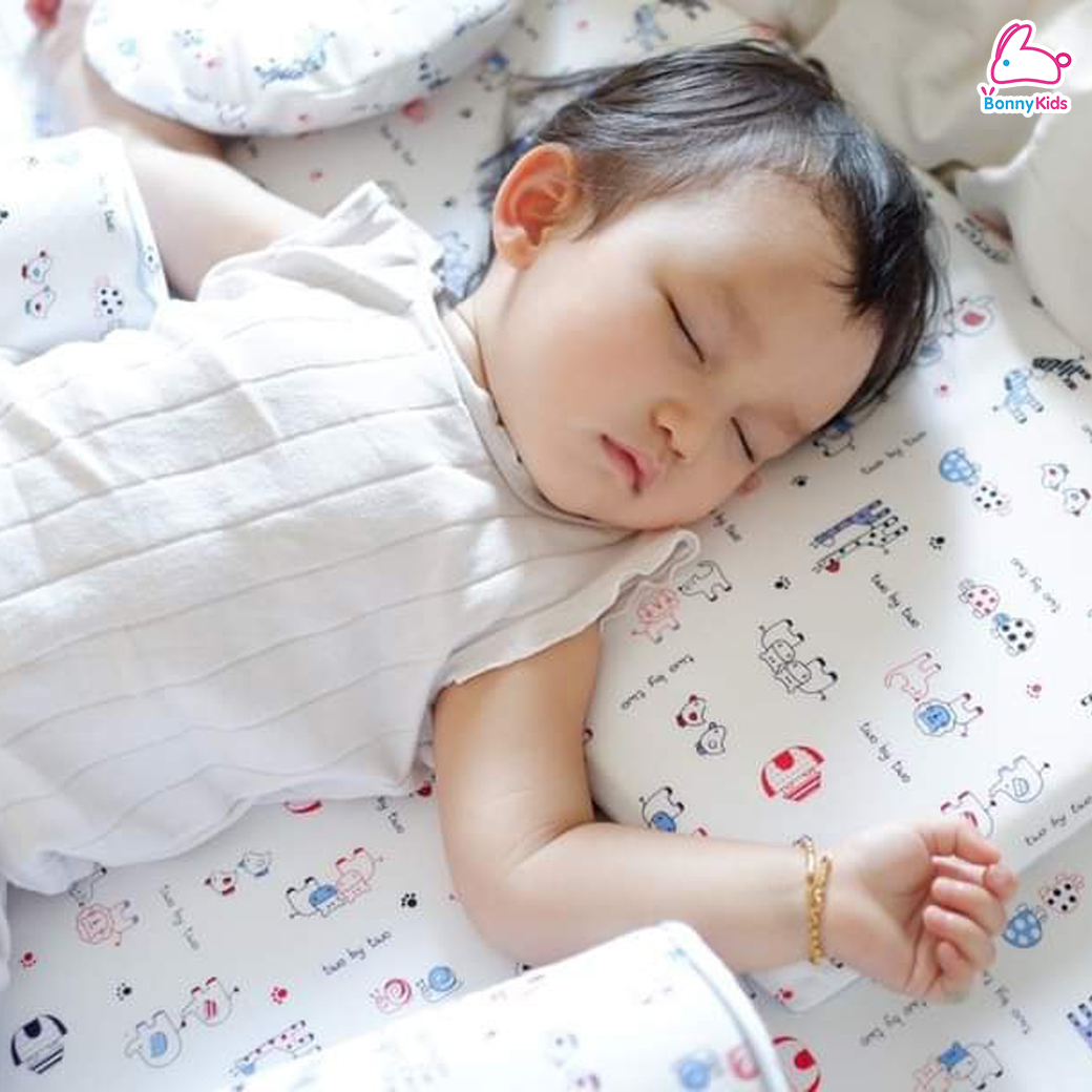 Ventry (เวนทรี่) Baby Sets ชุดที่นอนเด็กแรกเกิด พร้อมกระเป๋าพกพา (เซ็ต 5 ชิ้น)