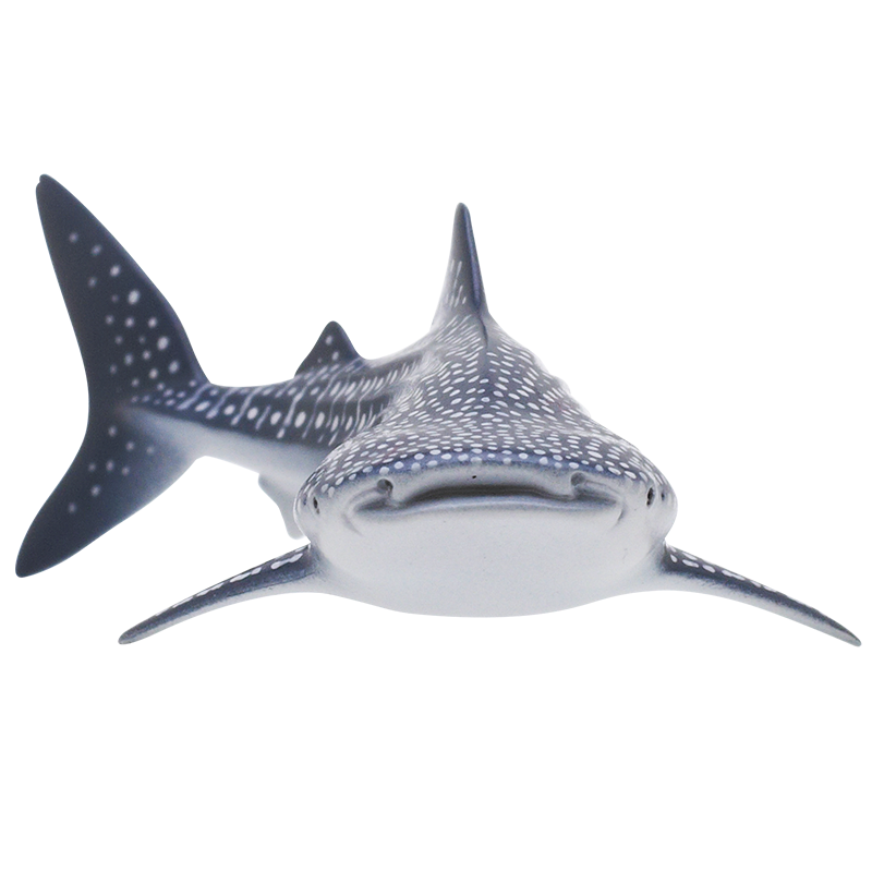 กาชาปองฟิกเกอร์ฉลาม Shark