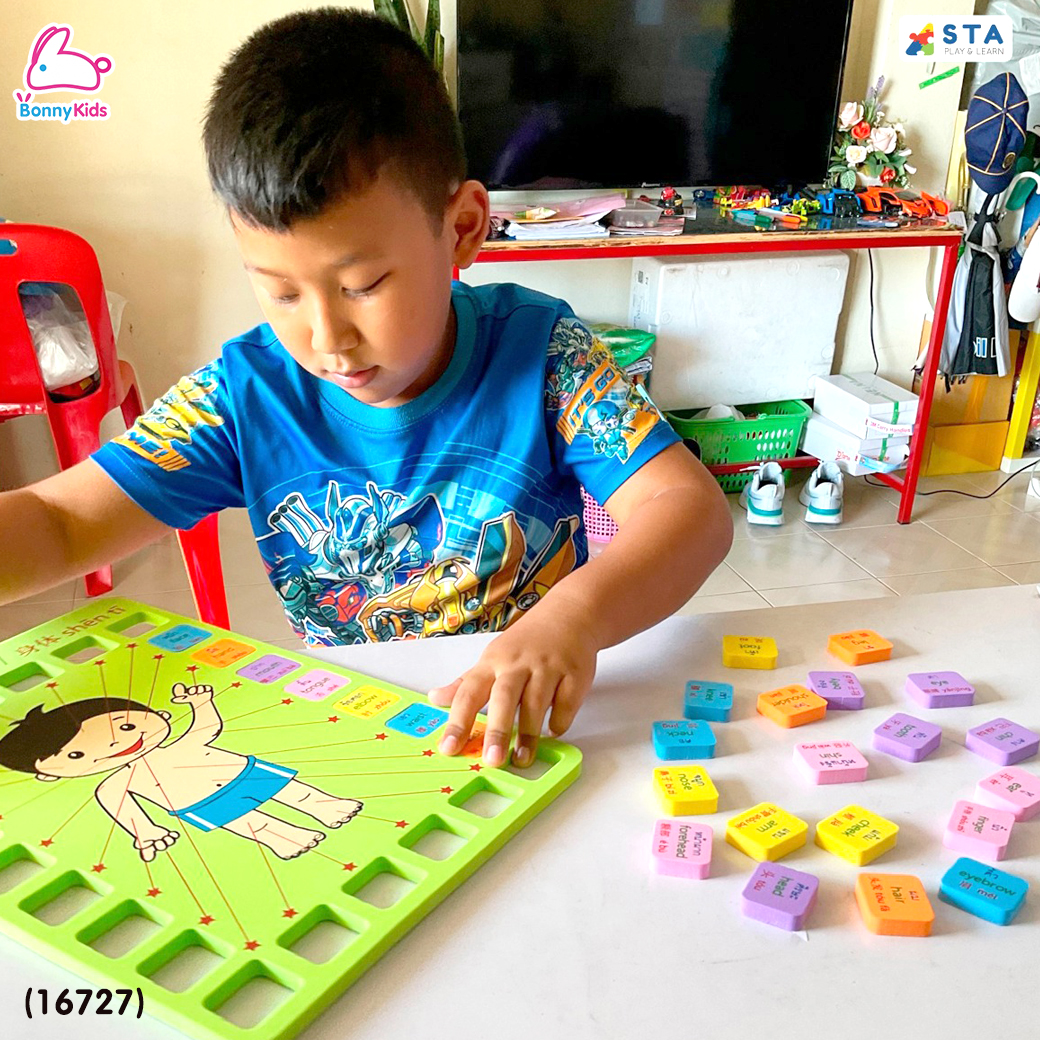 (16727) ASTA (แอสต้า) ชุดคำศัพท์ร่างกาย บล็อกต่อคำศัพท์ ภาษาอังกฤษ ภาษาจีน ภาษาไทย 26 คำ (คละสี)