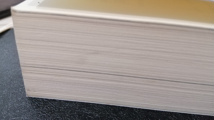 เกมอันตราย สายลับไร้ชื่อ (เล่ม 2) (I Am Pilgrim) (มีตำหนิ โปรดอ่านรายละเอียด)