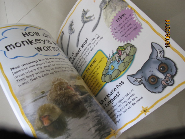 Miles Kelly : First Questions And Answers - Why do chimps kiss? หนังสือคำถามแรกและคำตอบ - ทำไมชิมแปนซีจูบกัน