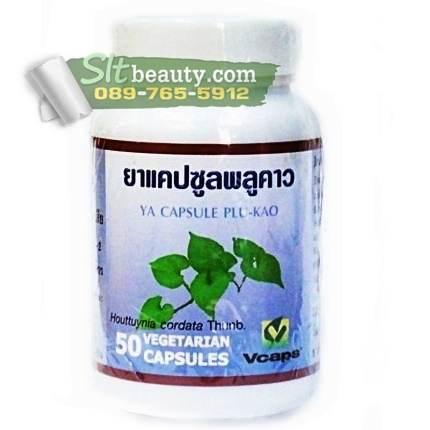 แคปซูล พลูคาว ก้านตอง Vcaps (ปฐมอโศก) ขนาด 50 แคปซูล ► ปกป้อง ฟื้นฟูร่างกาย กระตุ้นร่างกายให้สร้าง ภูมิคุ้มกันโรค มีฤทธิ์ฆ่าเชื้อรา เชื้อแบคทีเรีย เชื้อไวรัส ใช้ถอนพิษ ขับพิษได้ทุกชนิด