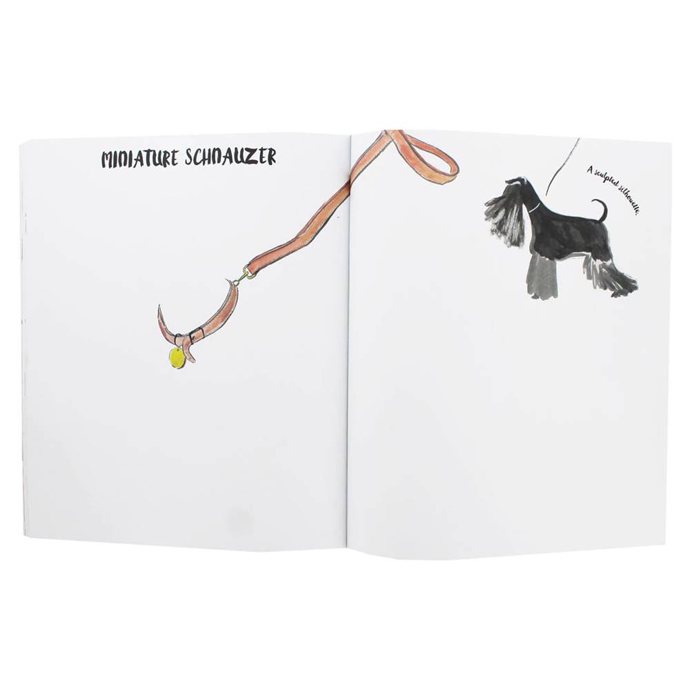 Hannah Rollings : Doodle A Poodle หนังสือส่งเสริมจิณตนาการ ศิลปะ สร้างสรรค์ ลายเส้น ดูเดิ้ล พูดเดิ้ล หมาน้อย A Uniquely Creative Drawing and Colouring Book to inspire Dog Lovers of All Ages