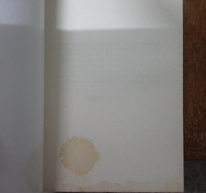 แรงใจและไฟฝัน (Great Expectations)