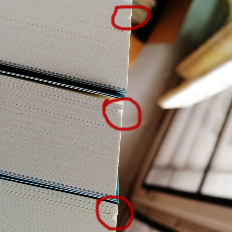 Flow โฟลว์ ภาวะลื่นไหล (มีตำหนิ โปรดอ่านรายละเอียดก่อนสั่งทุกครั้ง) (มิฮาย ชิกเซนต์มิฮายยี)