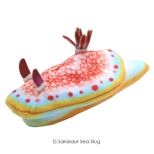 กาชาปองตุ๊กตาทากทะเล Sea Slug Plush Toy 2