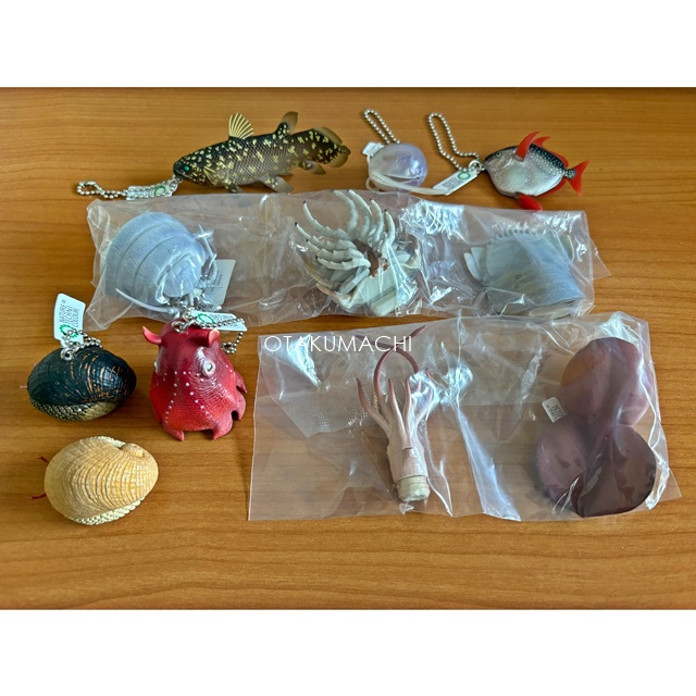 กาชาปอง NTC Deep Sea Creatures Magnet & Ball Chain 2