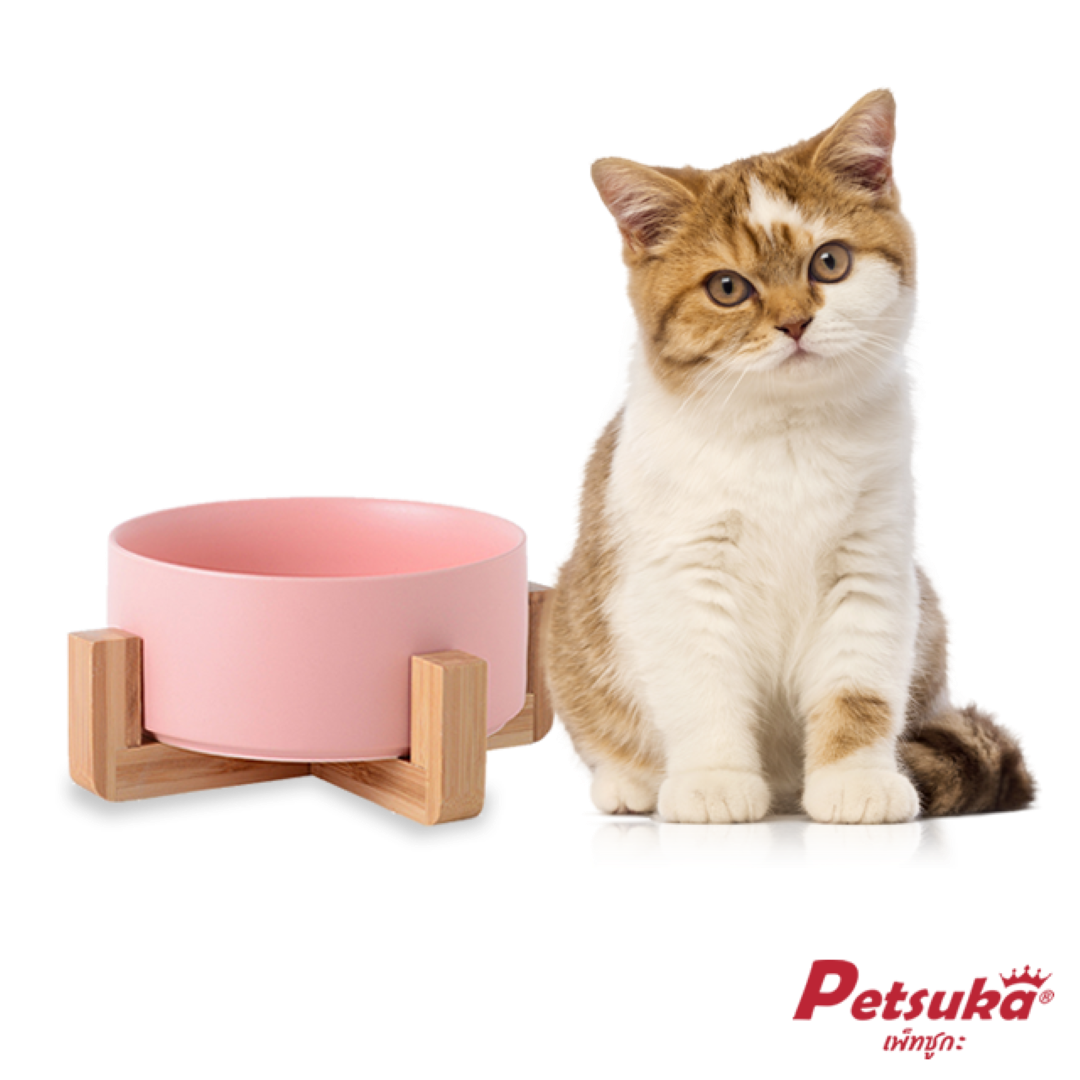 ชามเซรามิคสัตว์เลี้ยง Petsuka พร้อมฐานรองสไตล์ญี่ปุ่น สำหรับสุนัขและแมว สีชมพู 850 ml
